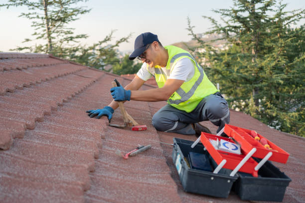 Best Roof Leak Repair  in Woodward, IA