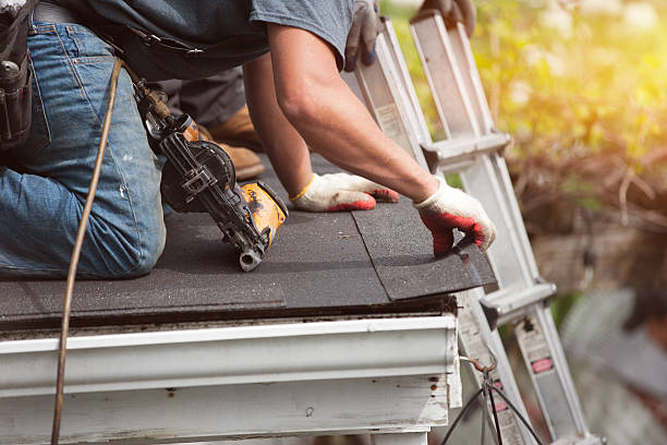 Best Storm Damage Roof Repair  in Woodward, IA