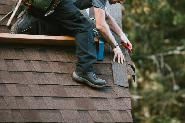 Best Metal Roofing Contractor  in Woodward, IA