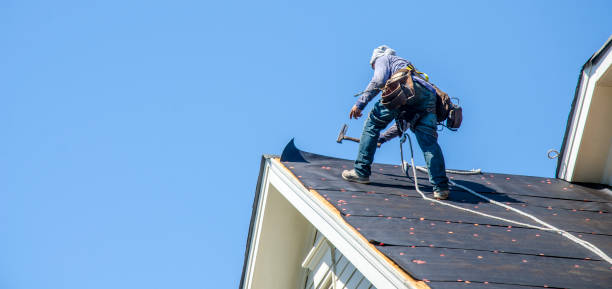 Best Roof Replacement Cost  in Woodward, IA
